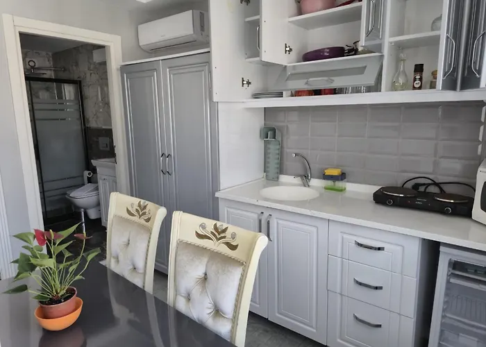 Ararat * اسطنبول